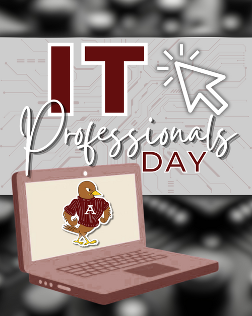 IT Professionals Day