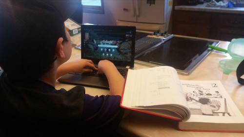 October 2020 - Photo Number 15