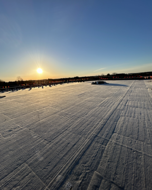 November 2025 Updates - Photo Number 2