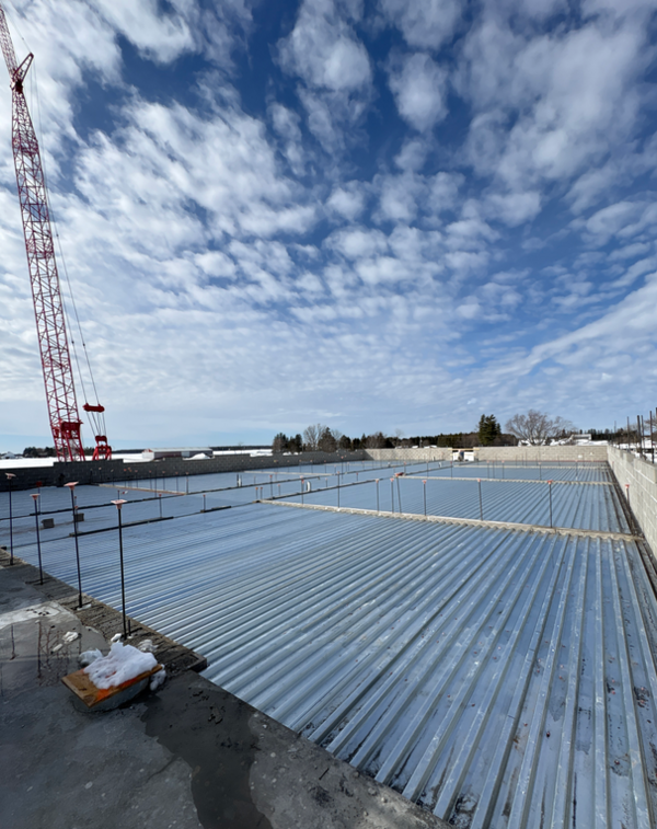 March 2026: Part 2 - Photo Number 2